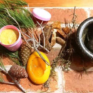 Αλοιφή Θρέψης με Ρετσίνι, Μούργα και Πράσινο Σαπούνι