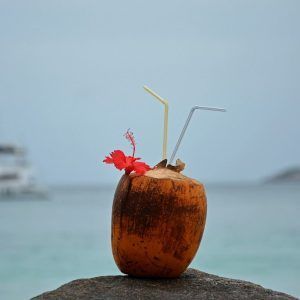 Λικέρ Καρύδα (Ινδοκάρυδο)