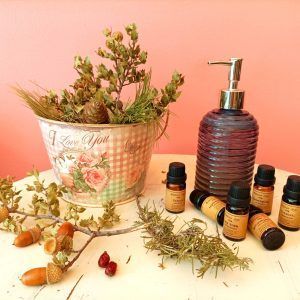 Εύκολο Φυσικό Υγρό Σαπούνι για τα Χέρια (Τέσσερις Εποχές)