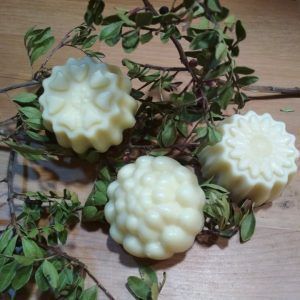 Lotion Bars