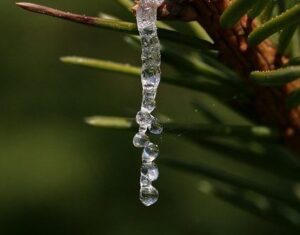 Άρωμα Μαστίχα 100ml