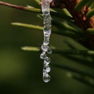 Άρωμα Μαστίχα 100ml