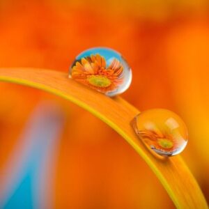 Bιταμίνη B3  (Niacinamide)