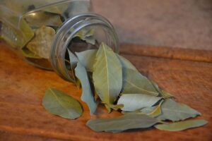 Αιθέριο Έλαιο Δάφνη (Bay Leaf Oil)