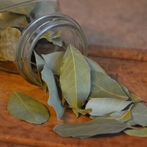 Αιθέριο Έλαιο Δάφνη (Bay Leaf Oil)