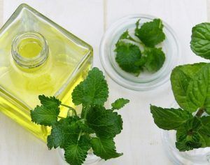 Αιθέριο Έλαιο Μέντα