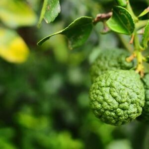 Αιθέριο  Έλαιο Περγαμόντο