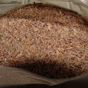 Αιθέριο Έλαιο Άνηθος (Dill Oil)