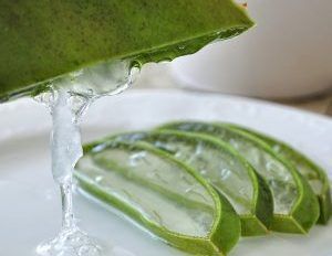 Ανθόνερο Αλόη