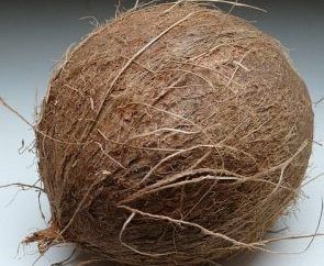 Απολεπιστικό καρύδας  (Coconut Scrub)