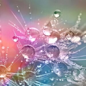 Κολλαγόνο θαλάσσιο (marine collagen)