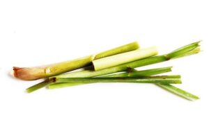 Αιθέριο Έλαιο Λεμονόχορτο (Lemongrass)