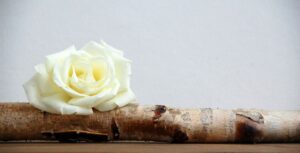 Αιθέριο Έλαιο Ροδόξυλο