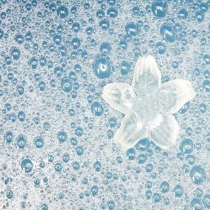 Βάση Υγρού Σαπουνιού για Scrub (Suspending)