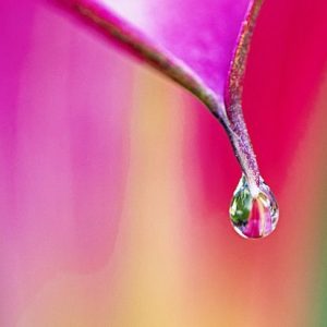 Υαλουρονικό Νάτριο σκόνη L. W (Sodium Hyaluronate  L.W)