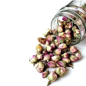 Τριαντάφυλλο